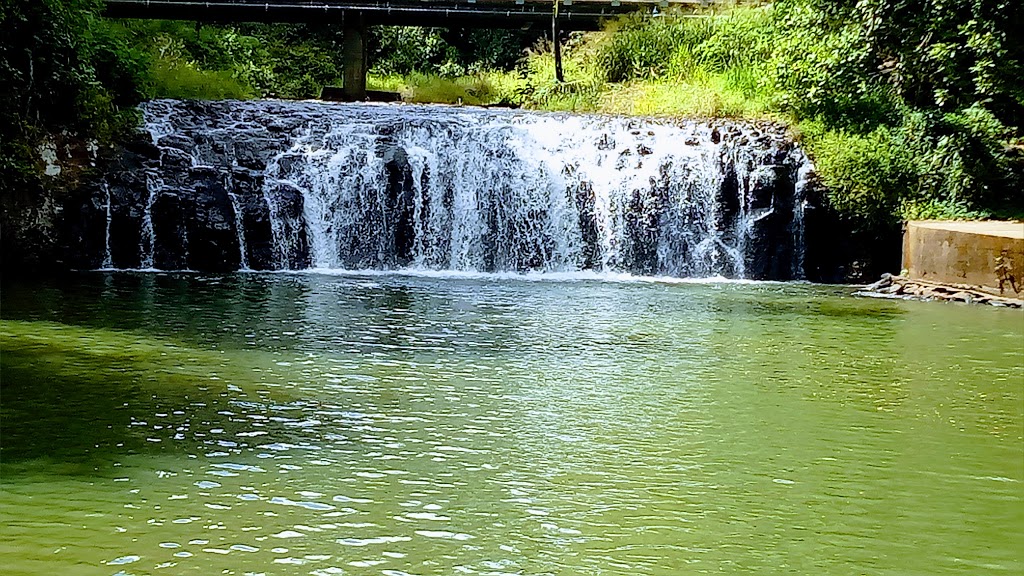 Malanda Falls Conservation Park | Malanda QLD 4885, Australia