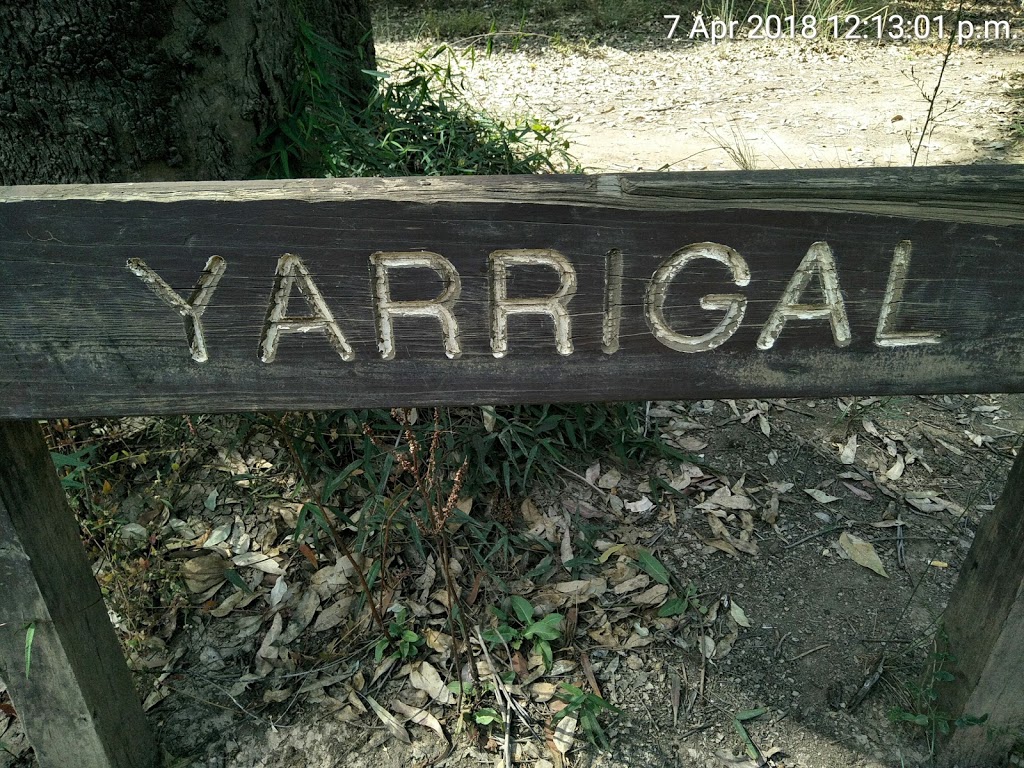 Yarragil campground | campground | River Rd, Nanga Brook WA 6215, Australia | 0895381078 OR +61 8 9538 1078