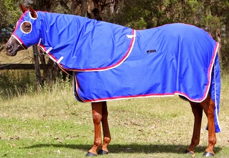 Camelot Horse Rugs | 1063 Castlereagh Rd, Castlereagh NSW 2749, Australia | Phone: (02) 4776 1300