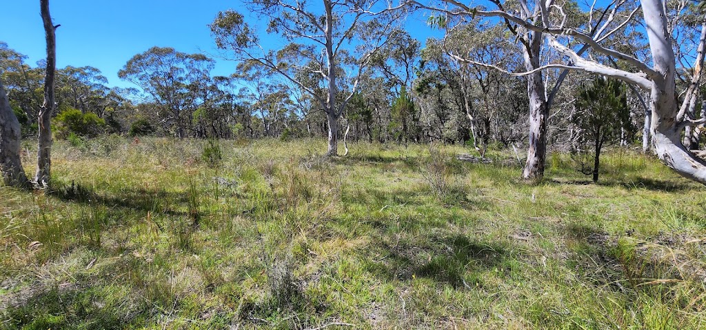 Willowleaf Properties P/L | 21 Paddys Cl, Lower Boro NSW 2580, Australia | Phone: 0437 977 861