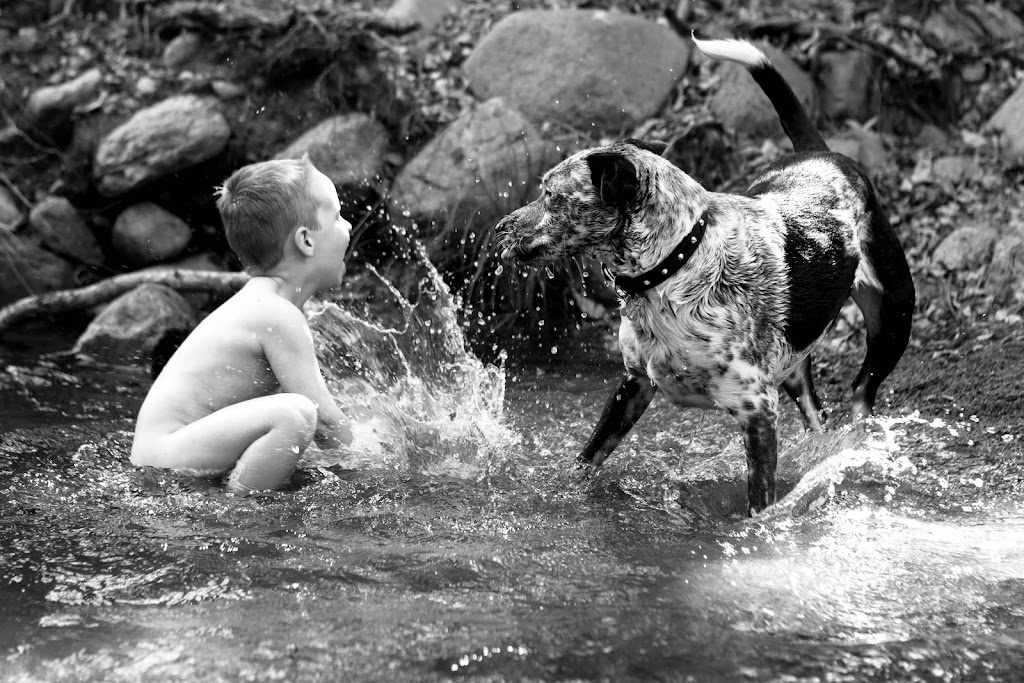 Humming Hippo Photograhy | 6 Jillinda Pl, The Gap QLD 4061, Australia | Phone: 0468 855 729