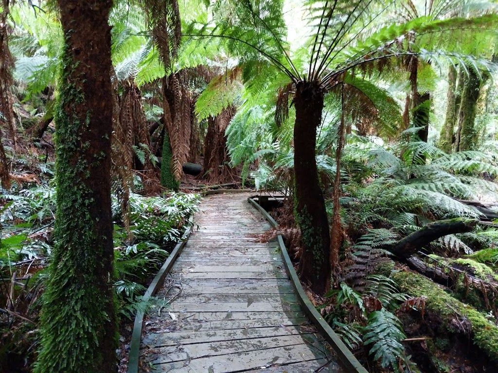 Wirrawilla Rainforest Walk | tourist attraction | Toolangi VIC 3777, Australia | 136186 OR +61 136186