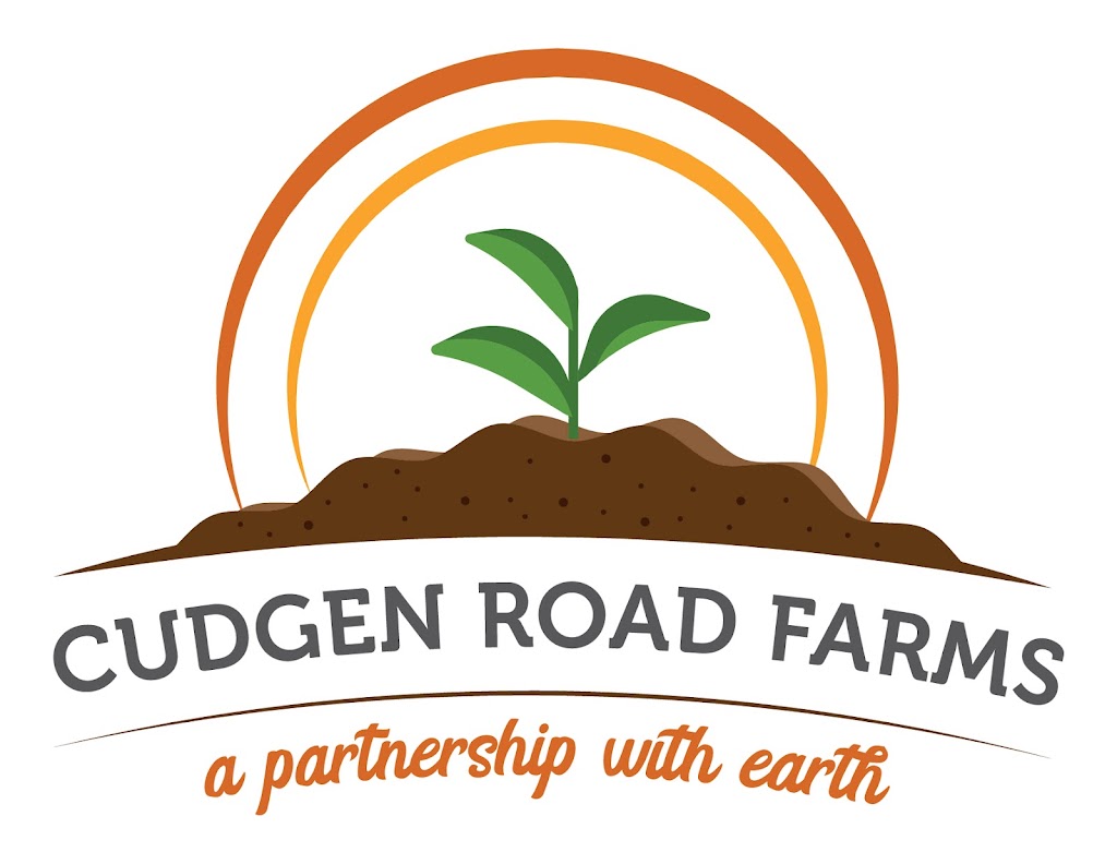 Cudgen Road Farms | 752 Cudgen Rd, Cudgen NSW 2487, Australia | Phone: 0402 334 509