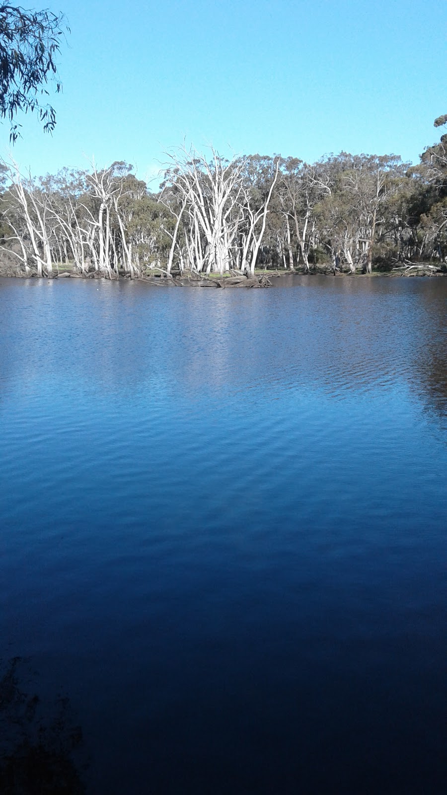 Duck Lagoon Camping Area | Cygnet River SA 5223, Australia