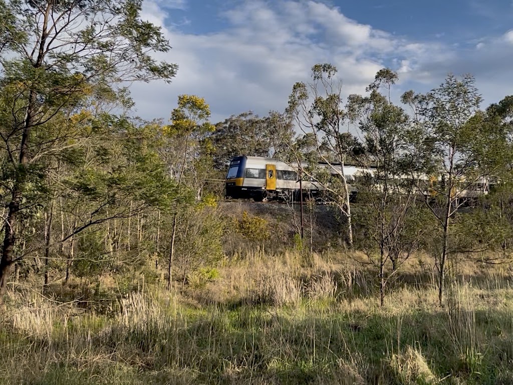 Nattai Ponds Playground | Isedale Rd, Braemar NSW 2575, Australia | Phone: (02) 4868 0888