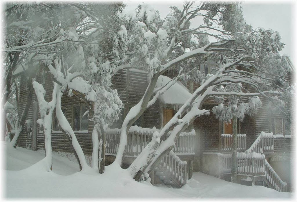 My Snow Bed | lodging | 3/85 Stirling Rd, Mount Buller VIC 3723, Australia | 0428175080 OR +61 428 175 080