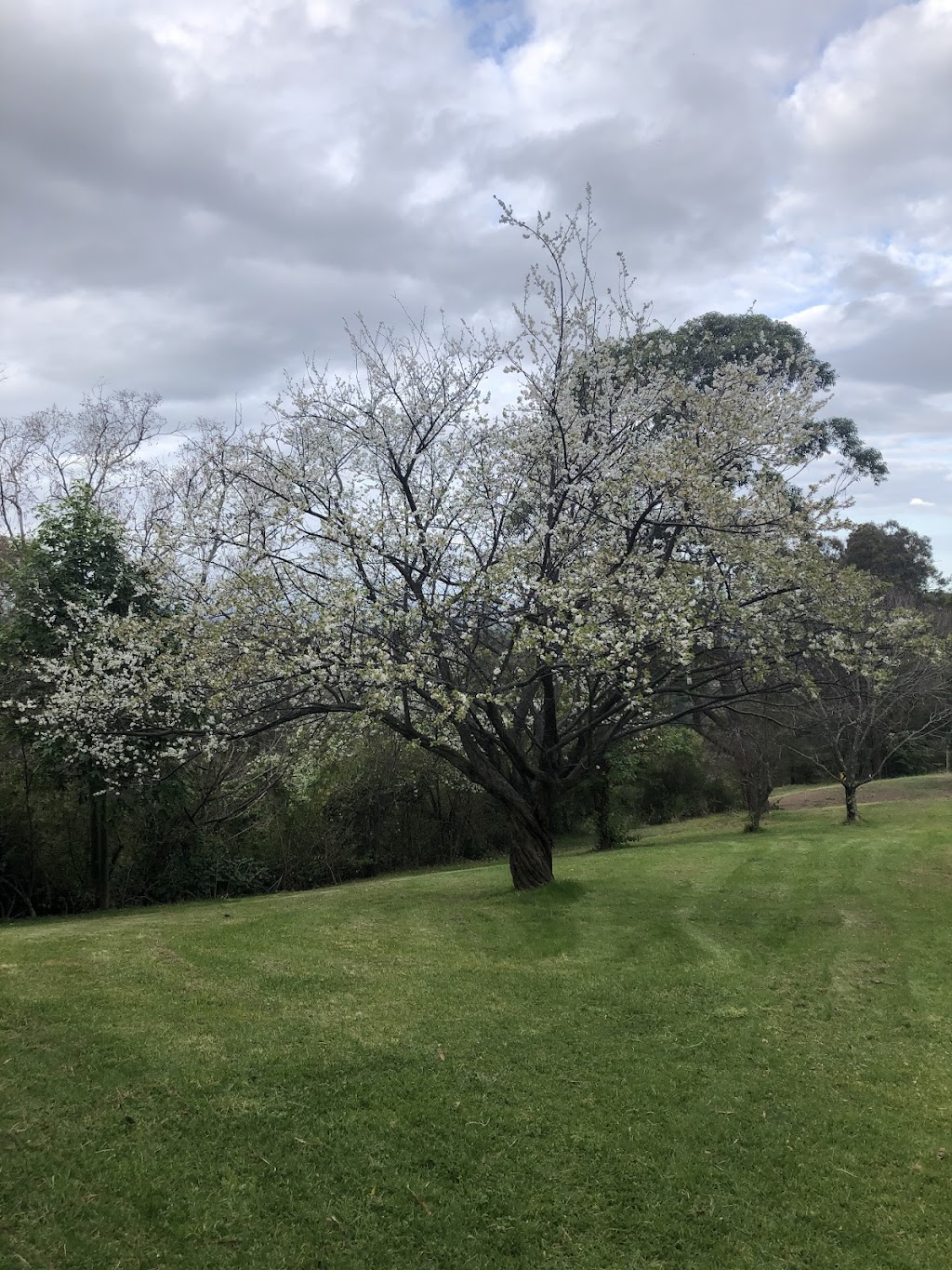 Bowen Mountain Retreat | 1 Serpentine Ln, Bowen Mountain NSW 2753, Australia | Phone: 0490 372 122