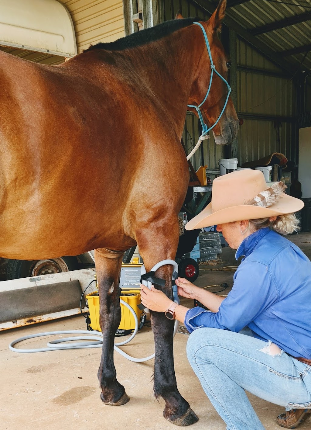 CAC Equine Therapy |  | 154 Walshs Rd, Nebo QLD 4742, Australia | 0447667066 OR +61 447 667 066