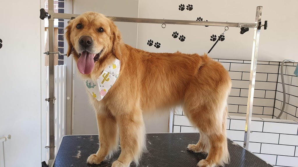 Absolute PAWfection Dog Grooming | 11 Higgins St, Plumpton VIC 3335, Australia | Phone: 0415 423 822