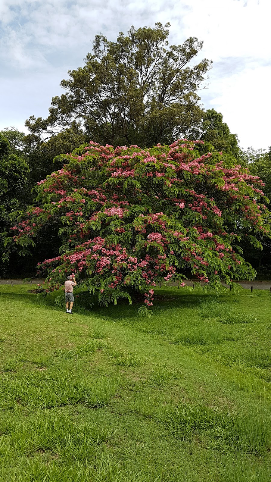 George Best Park | park | Ninderry Rd, Yandina QLD 4561, Australia