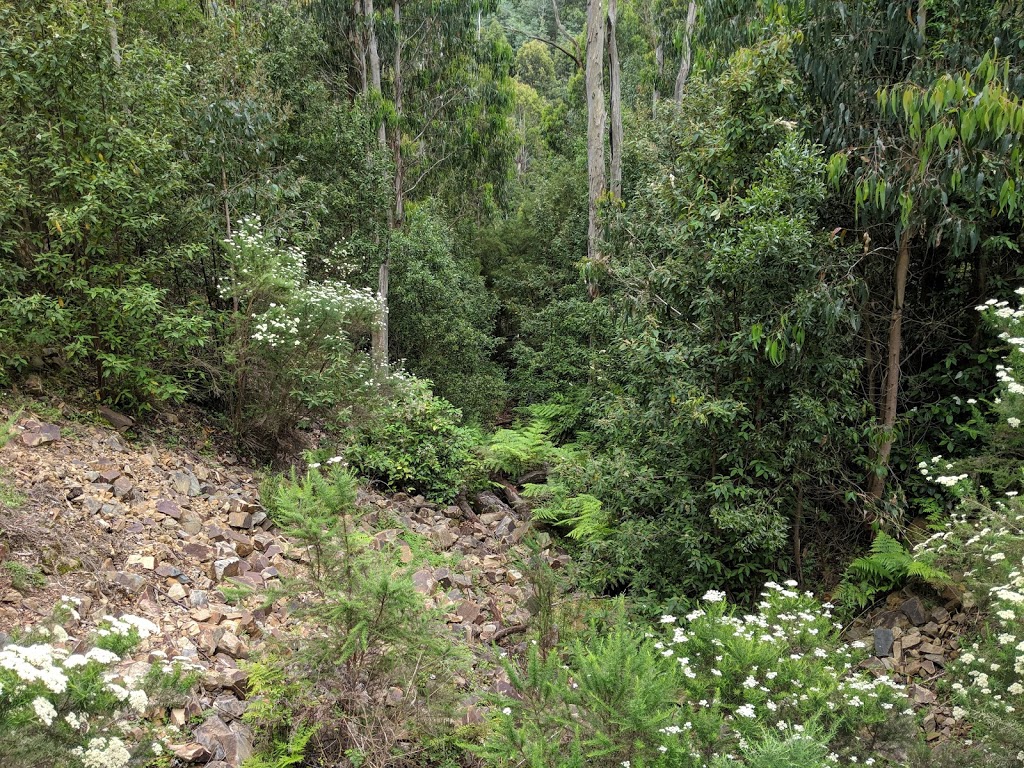 Masons Falls Observation Platform |  | Kinglake West VIC 3757, Australia | 131963 OR +61 131963