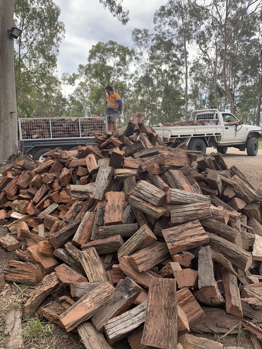 BestWood Firewood | 77 Watson Rd, Kobble Creek QLD 4520, Australia | Phone: 0430 891 825