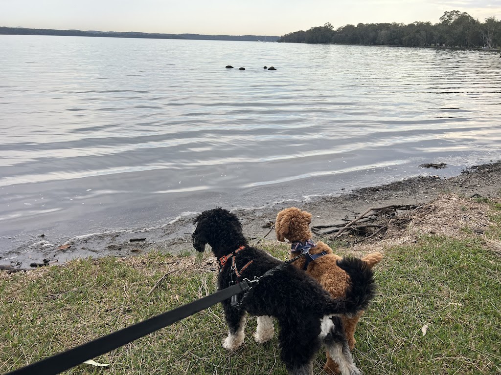 Robin Oliver Pet Dog Training | 27 McCullough St, Cooranbong NSW 2265, Australia | Phone: 0407 253 181