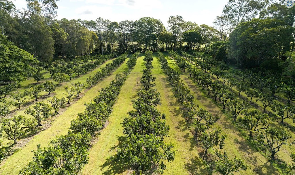 El Pomelo | 36-48 Heinemann Rd, Redland Bay QLD 4165, Australia | Phone: 0455 974 602