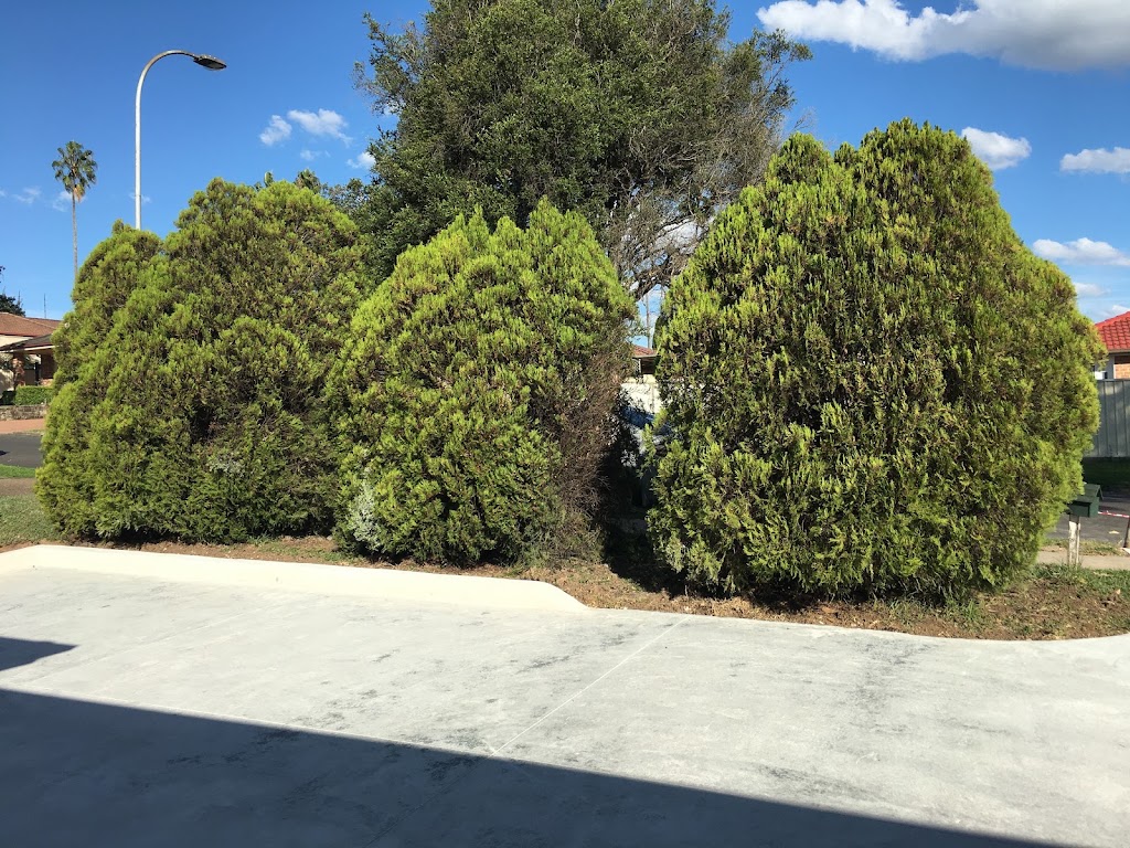 Impact Tree Services | 69 Koloona Dr, Emu Plains NSW 2750, Australia | Phone: 0437 783 388