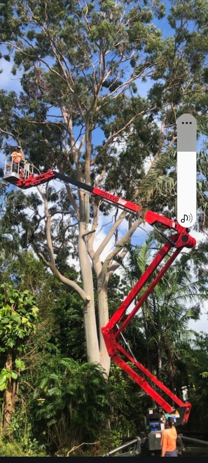 Wades Tree Service | 468 MacKay Habana Rd, Nindaroo QLD 4740, Australia | Phone: (07) 4942 8770