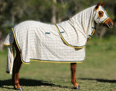 Camelot Horse Rugs | 1063 Castlereagh Rd, Castlereagh NSW 2749, Australia | Phone: (02) 4776 1300