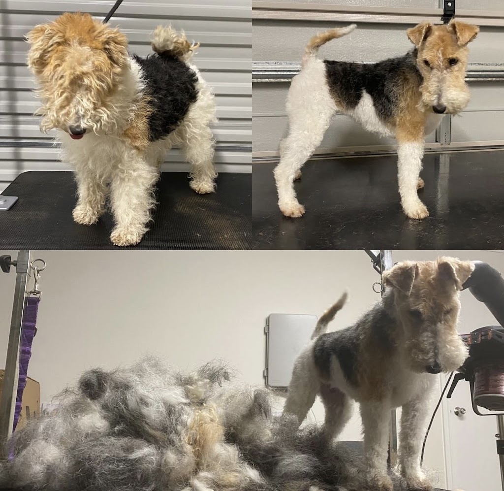 Polished paws dog wash and grooming |  | 1/43 Main St, Garfield VIC 3814, Australia | 0405445974 OR +61 405 445 974
