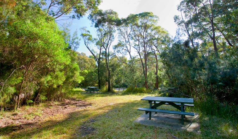 Kellys Falls picnic area | Princess Marina Track, Stanwell Tops NSW 2508, Australia | Phone: (02) 9542 0648