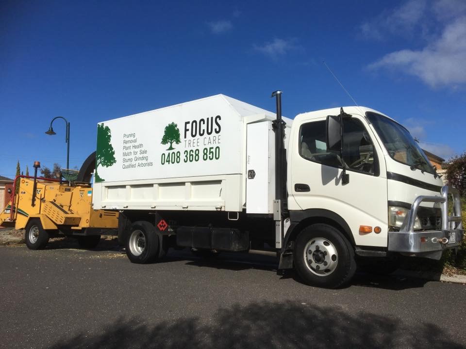 Focus Tree Care | 20 Highlands Rd, Seymour VIC 3660, Australia | Phone: 0408 368 850