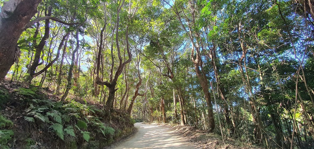 Byron Bay Coastal Walks | Unit 2/52 Gibbon St, Lennox Head NSW 2478, Australia | Phone: 1300 113 792