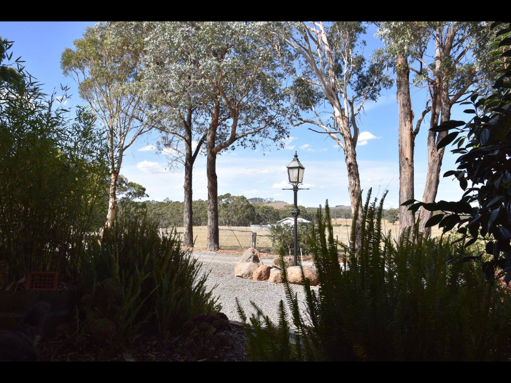 Cygnet Park Country Retreat | 294 Madderns Rd, Glen Park VIC 3352, Australia | Phone: 0407 378 506