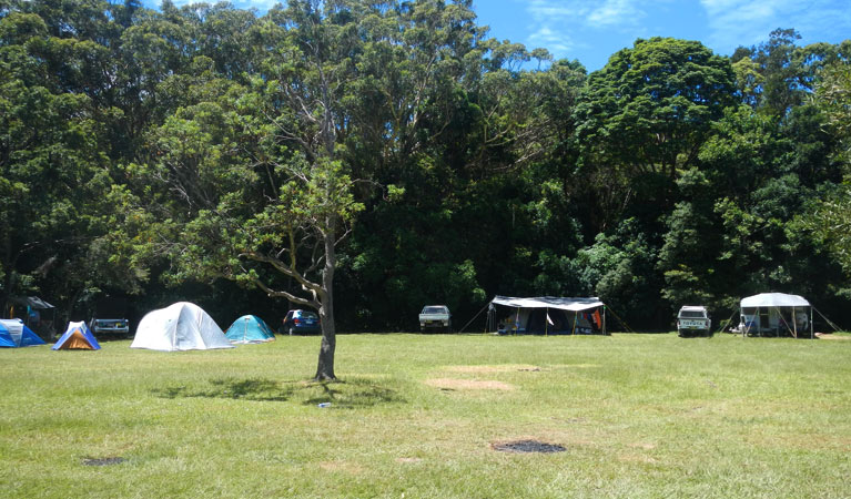 Indian Head campground | campground | Indian Head Road, Crowdy Bay National Park NSW 2443, Australia | 0265885555 OR +61 2 6588 5555