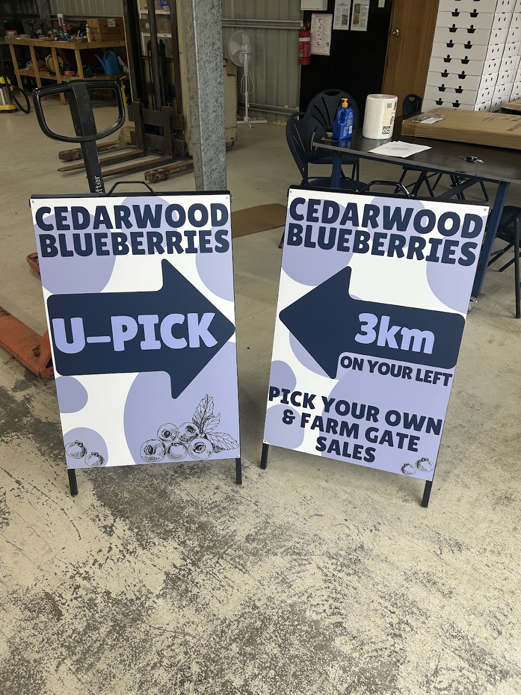 Cedarwood Blueberries | 371 Nierinna Rd, Margate TAS 7054, Australia | Phone: 0488 013 293