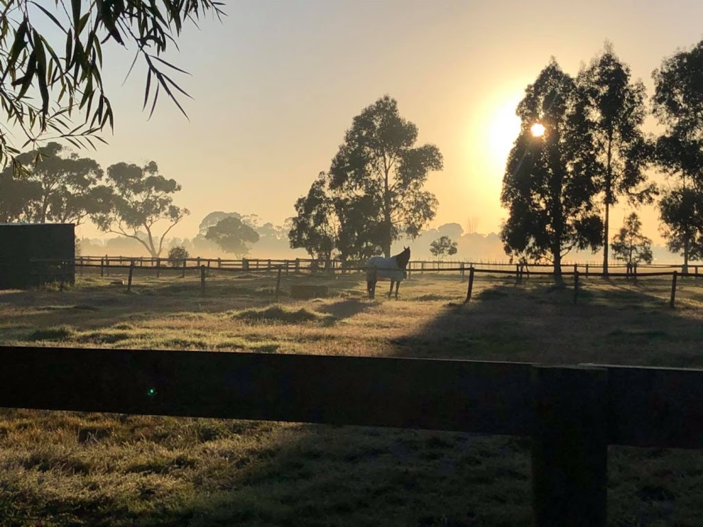 Willow Lane Equestrian Centre | 296 Pillars Rd, Bangholme VIC 3175, Australia | Phone: 0400 920 366