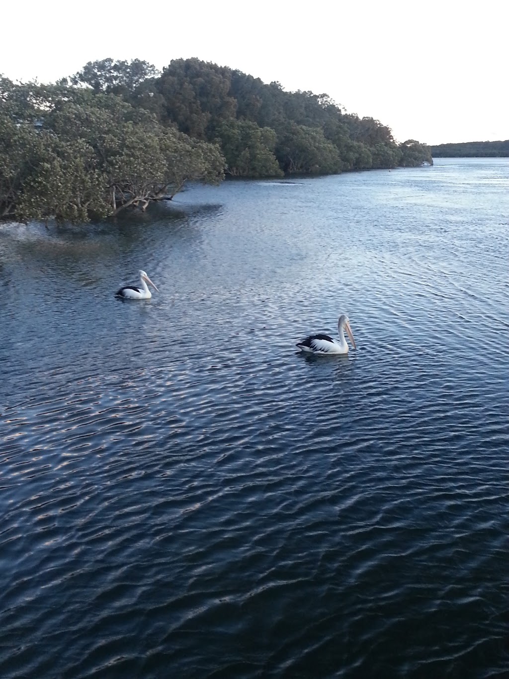 Nowra & Coast Real Estate P/L | 5 Otranto Ave, Orient Point NSW 2540, Australia | Phone: 0427 210 066