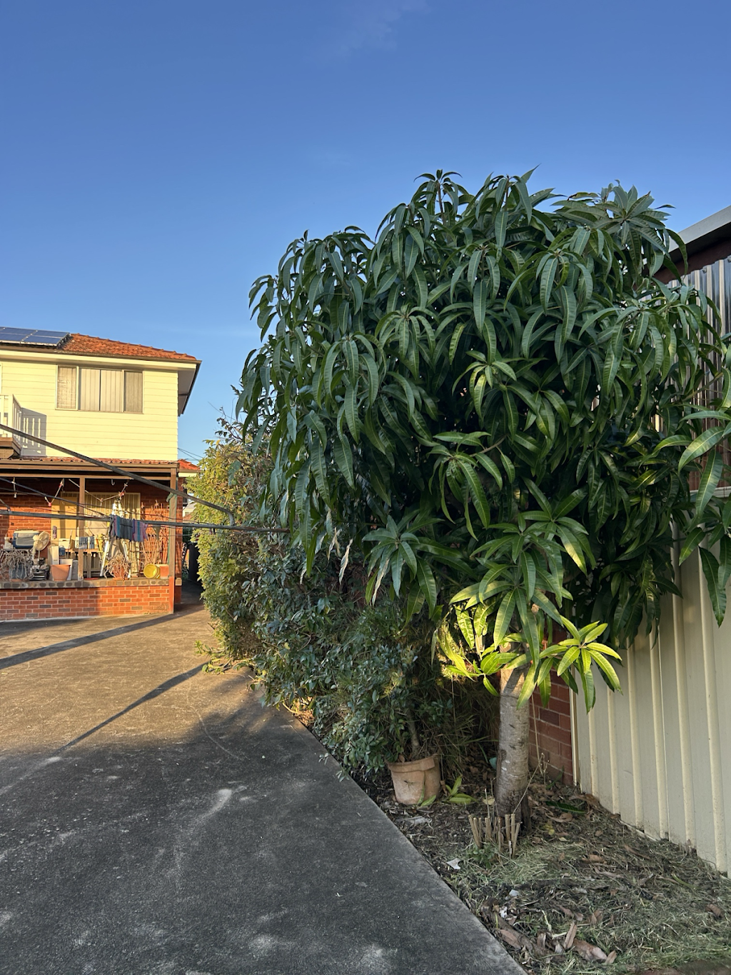 Simon’s Mowing | Gardening & Lawncare Services Horningsea Park | Cowpasture Rd, Horningsea Park NSW 2171, Australia | Phone: 0413 000 551