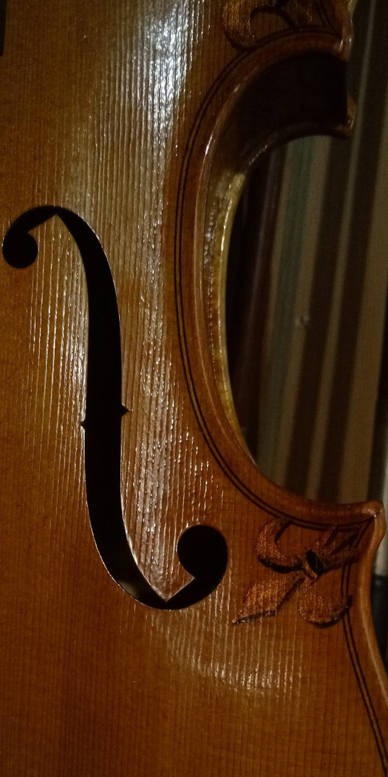 Ilja Grawert - Violinmaker North Queensland ~by appointment only | 998 Calen Mount Charlton Rd, Mount Charlton QLD 4741, Australia | Phone: 0437 882 468