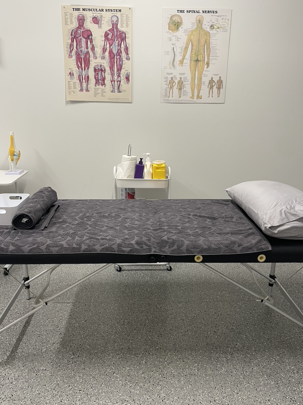 Flex Fit Physio | 29 St Lukes St, Wilton NSW 2571, Australia | Phone: 0415 125 258