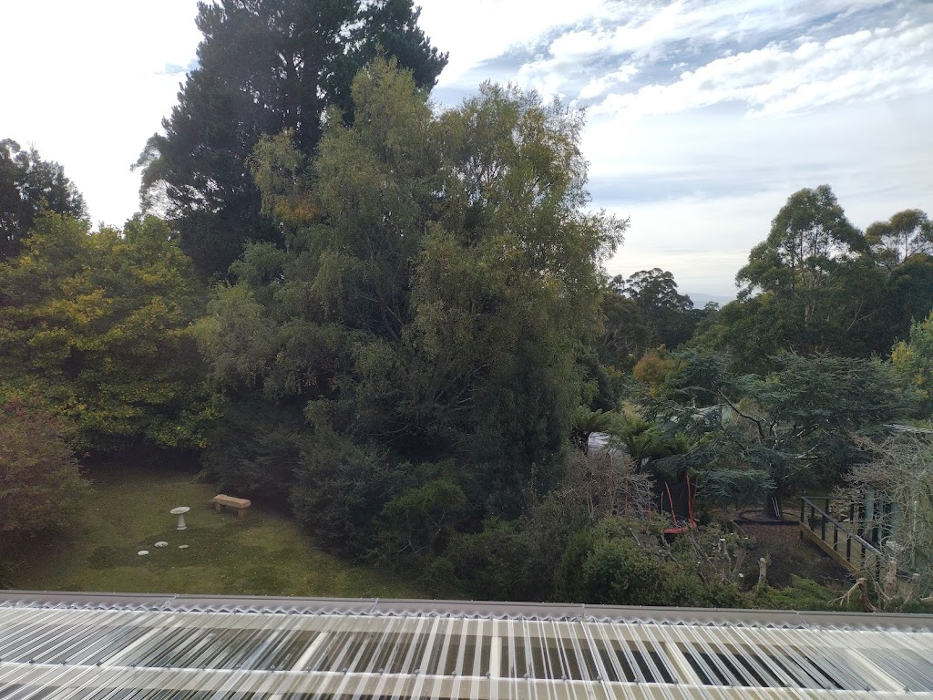 Tree Way Is The Right Way | 7 Southview Cres, New Norfolk TAS 7140, Australia | Phone: 0480 662 907