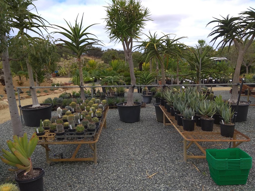 Karnup Nursery - Arid & Exotic Plants | 77 Fletcher Rd, Karnup WA 6176, Australia | Phone: 0408 916 780