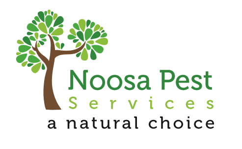 Noosa Pest Services | home goods store | 111 Memorial Dr, Eumundi QLD 4562, Australia | 0474120748 OR +61 474 120 748