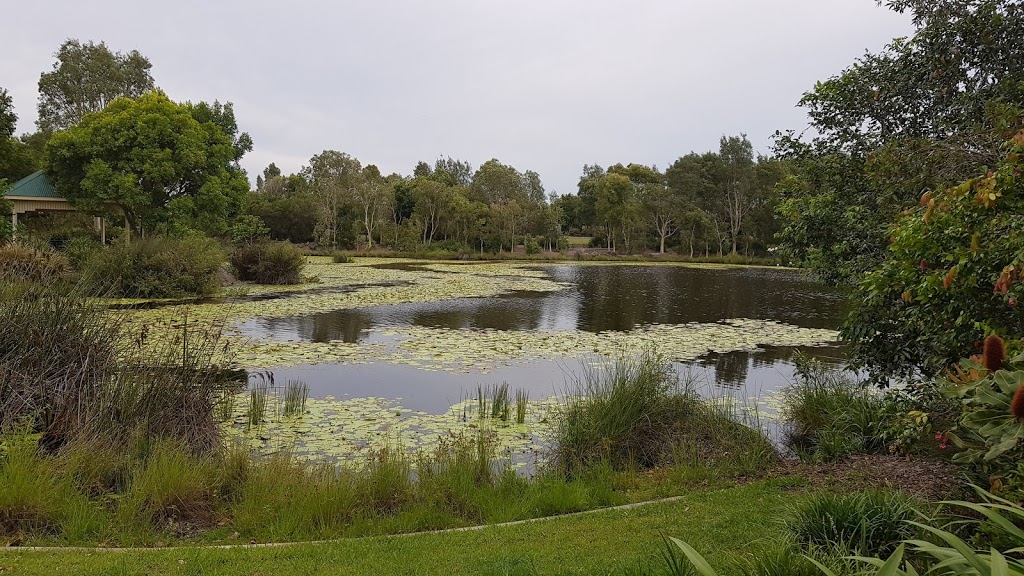 Canavan Gracie Recreational Park | park | Lomond Cres, Caloundra West QLD 4551, Australia