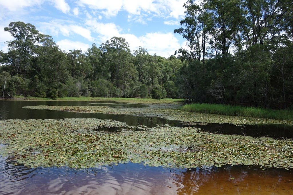 South DAguilar National Park | 57 Mount Nebo Road, The Gap QLD 4061, Australia | Phone: (07) 3512 2300