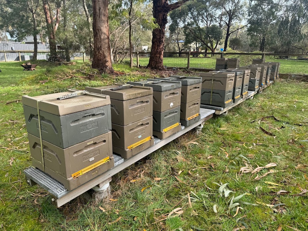 Tarnagulla Honey | 159 Hendersons Rd, Bittern VIC 3918, Australia | Phone: 0417 023 927