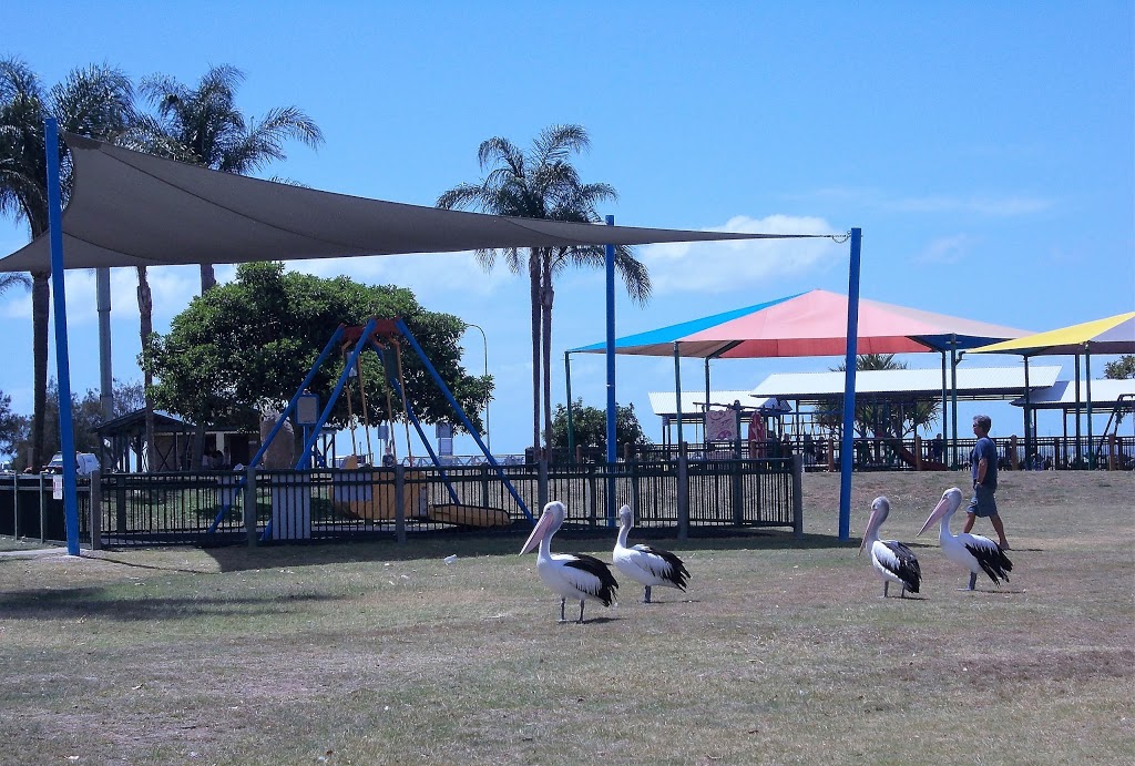 Pelican Park | park | 101 Hornibrook Esplanade, Clontarf QLD 4019, Australia | 0732050555 OR +61 7 3205 0555