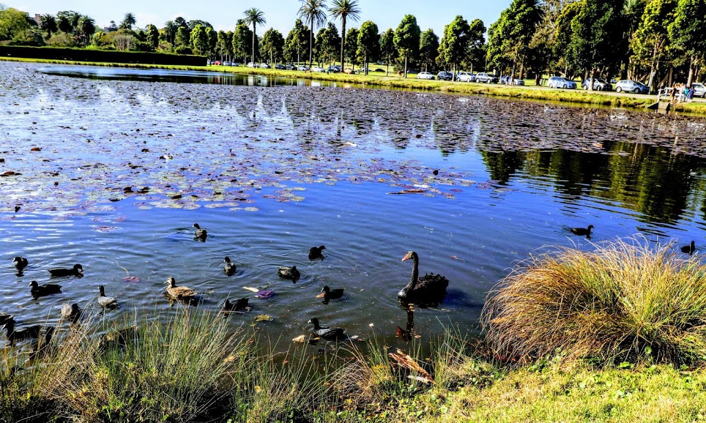 centennial park | park | Centennial Park NSW 2021, Australia