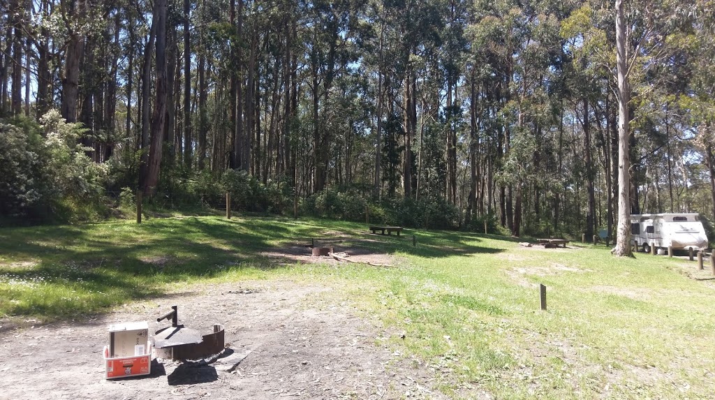 Big Hill Track | campground | 1265 Deans Marsh-Lorne Rd, Benwerrin VIC 3235, Australia | 00000000 OR +61 00000000