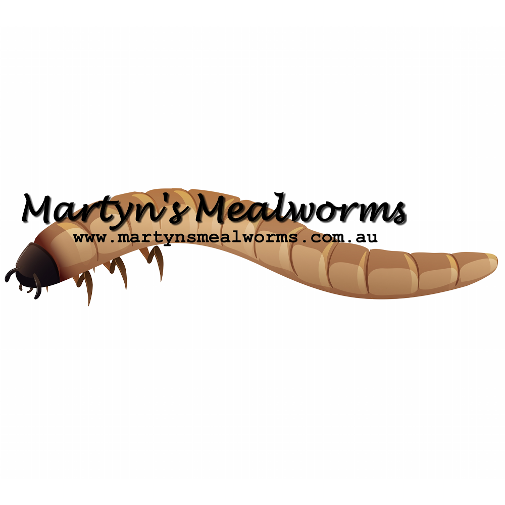 Martyns Mealworms | 8 Sandner Grove, Golden Square VIC 3555, Australia | Phone: 0473 567 267