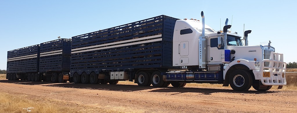 Craig Redmond livestock transport | 52 Naveena St, Brewarrina NSW 2839, Australia | Phone: 0437 819 263