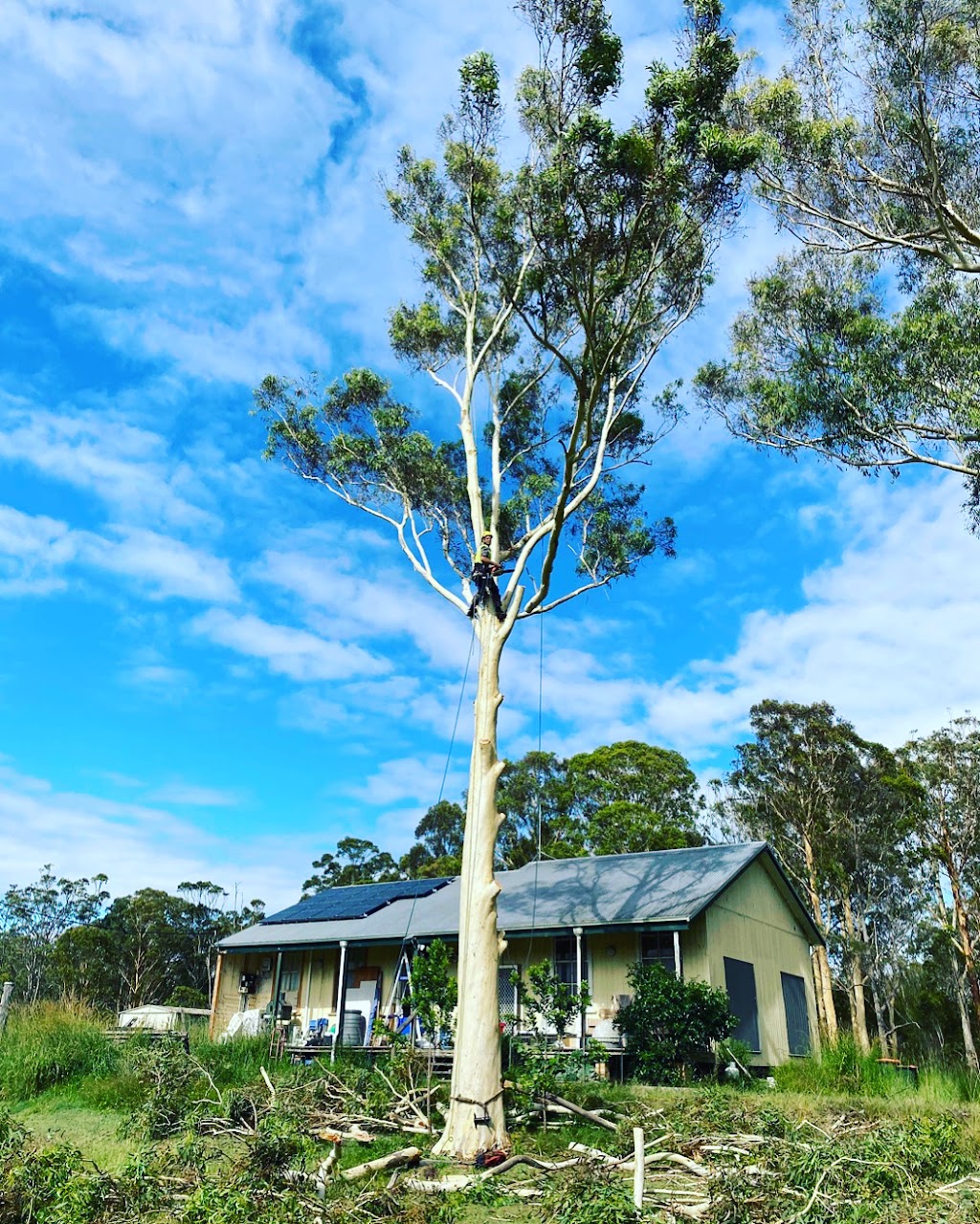 New Image Tree & Property Service Pty Ltd |  | 19 Yabsleys Ln, South Kempsey NSW 2440, Australia | 0412800096 OR +61 412 800 096