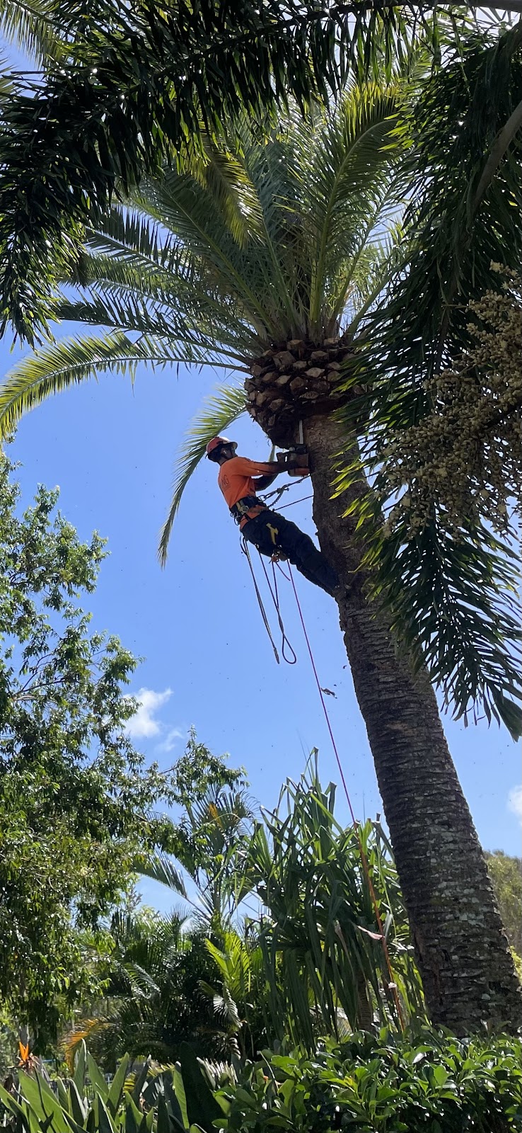 GC Residential Services | 2/26 Gardenia Grove, Burleigh Heads QLD 4220, Australia | Phone: 0415 304 455