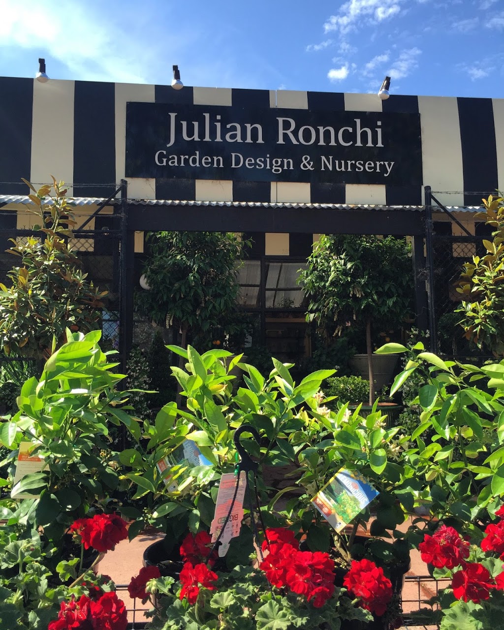 Julian Ronchi Garden Design & Nursery | 255-257 Dandenong Rd, Prahran VIC 3181, Australia | Phone: (03) 9530 2035