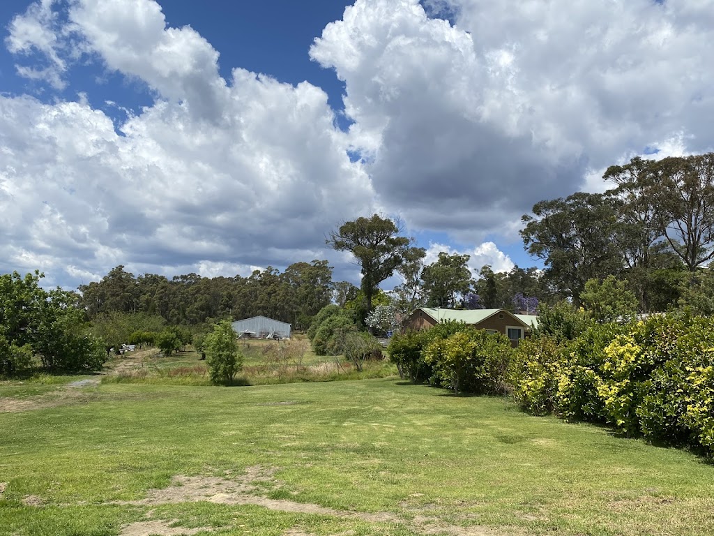 Camellia Cottage, Thirlmere | 15 Estonian Rd, Thirlmere NSW 2572, Australia | Phone: 0409 905 003