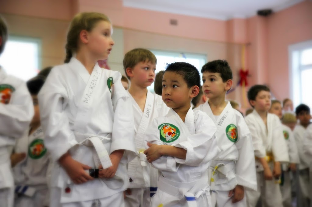 Arrow Martial Arts | school | 72 Agincourt Rd, Marsfield NSW 2122, Australia | 0405599459 OR +61 405 599 459