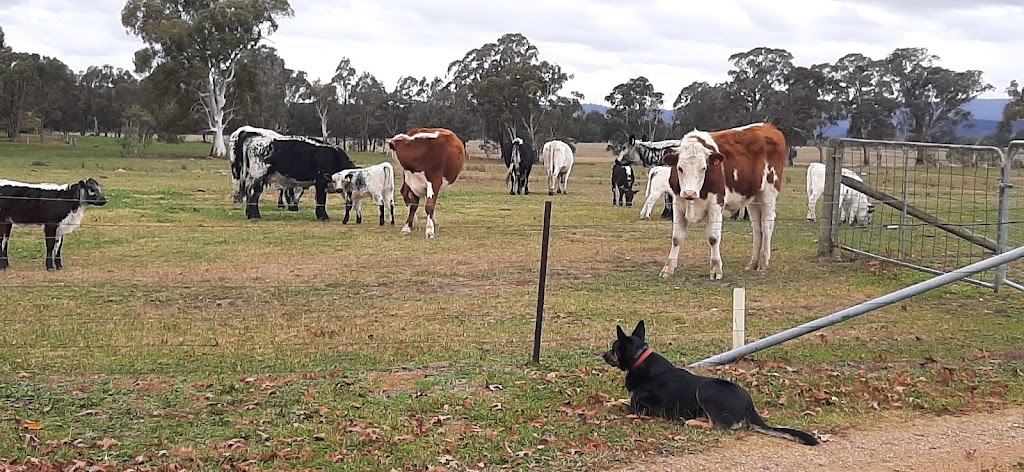 Pelycan Landing Country Retreat | 189 Swanpool-Lima Rd, Swanpool VIC 3673, Australia | Phone: 0411 495 922
